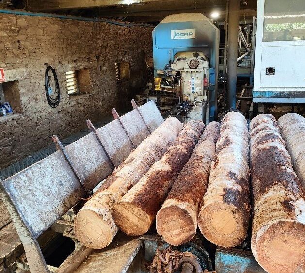 MAQUINARIA PARA LA MADERA