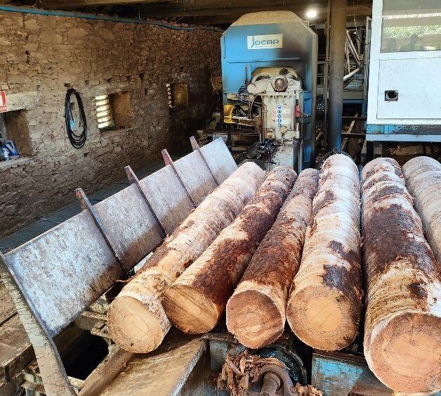 Conjunto de Carro–Charriot Jocar 30P900 con Sierra de Cinta Bicorte 1250/165 + Cabina Cerrada