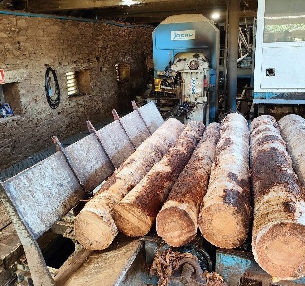 Conjunto de Carro–Charriot Jocar 30P900 con Sierra de Cinta Bicorte 1250/165 + Cabina Cerrada